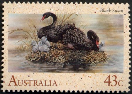 Australia-1991-Waterbirds-43-cent-Multi-P14-50-Bird_1