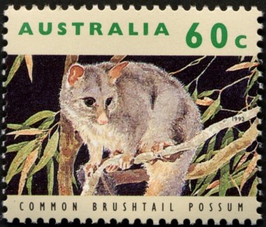 Australia-1992-Australian-Wildlife-Series-One-60-cent-Multi-P14-x-14-5-Common-Bushtail-possum