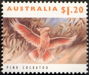 Australia-1993-Australian-Wildlife-Series-One-1-2-dollar-Multi-P14-x-14-5-Major-Mitchells-Cockatoo