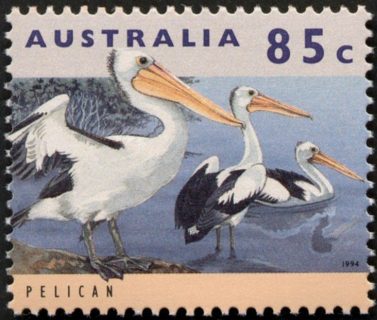 Australia-1994-Australian-Wildlife-Series-One-85-cent-Multi-P14-x-14-5-Australian-pelican