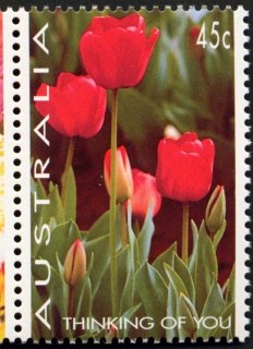 Australia-1994-Greetings-Stamps-Flower-Photographs-by-Lariane-Fonseca-45-cent-Multi-P14-5-x-14-Tulips-SG1446