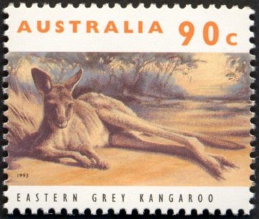 Australia-1995-Australian-Wildlife-Series-One-90-cent-Multi-P14-x-14-5-Eastern-Grey-Kangaroo