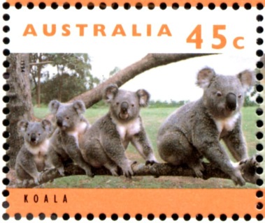 Australia-1995-Koala-and-Kangaroo-definitives-45-cent-Multi-P11-50-Family-of-Koala-Phascolarctos-cinereus-on-branch-SG1464d