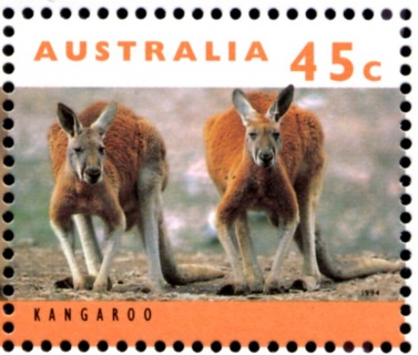 Australia-1995-Koala-and-Kangaroo-definitives-45-cent-Multi-P11-50-Two-kangaroos-SG1464c