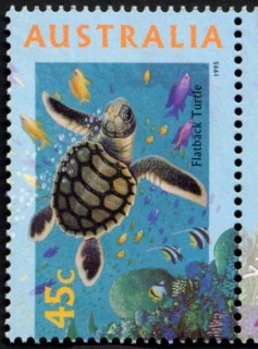 Australia-1995-Marine-Life-45-cent-Multi-P14-x-14-5-Sea-marine-life-creatures-shark-fish-turtle-coral-juvenile-flat-back-turtle-Chelonia-depressa-SG1556