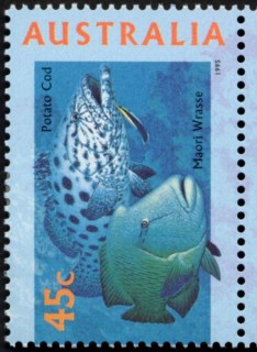 Australia-1995-Marine-Life-45-cent-Multi-P14-x-14-5-Sea-marine-life-creatures-shark-fish-turtle-coral-potato-cod-and-giant-maori-wrasse-Epinephelus-tukula-and-Chelinus-undulatus