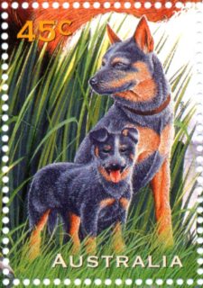 Australia-1996-Australian-Pets-45-cent-Multi-P14-5-x-14-Blue-heeler-dogs-SG1646