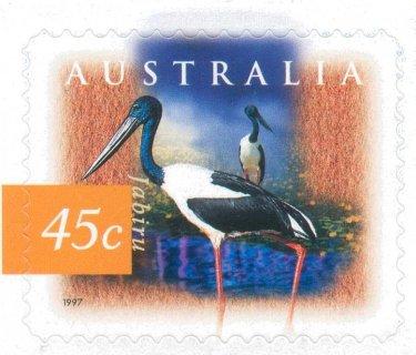 Australia-1997-Fauna-and-Flora_13