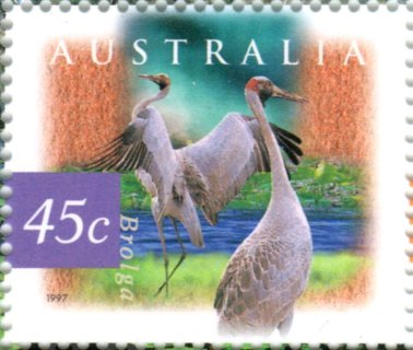 Australia-1997-Fauna-and-Flora_2