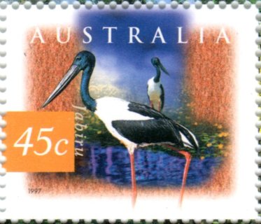 Australia-1997-Fauna-and-Flora_3