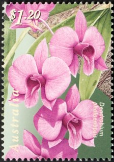 Australia-1998-Australia-Singapore-Joint-Issue-Orchids-1-2-dollar-Multi-P14-5-x-14-Dendrobium-phalaenopsis-Cooktown-orchid-SG1803