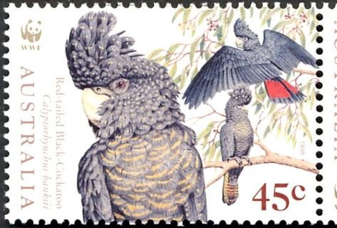 Australia-1998-Endangered-Species-Birds-45-cent-Multi-P14-x-14-5-Red-tailed-Black-Cockatoo