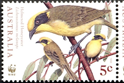 Australia-1998-Endangered-Species-Birds-5-cent-Multi-P14-x-14-5-Helmeted-Honeyeater-Yellow-tufted-honeyeater-sub-species