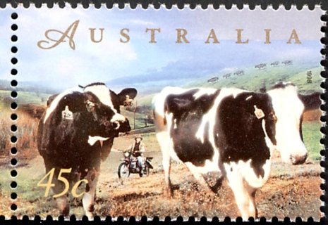 Australia-1998-Farming-45-cent-Multi-P14-x-14-5-Two-dairy-cows-SG1763