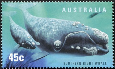 Australia-1998-International-Year-of-the-Ocean_5