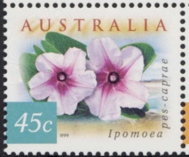 Australia-1999-Fauna-and-Flora_2