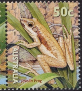 Australia-1999-National-Stamp-Collecting-Month-Small-Pond-Life-50-cent-Multi-P14-5-x-14-Javelin-Frog-SG1911