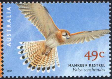 Australia-2001-Birds-of-Prey-49-cent-Multi-P13-9-x-14-6-Nankeen-Kestrel