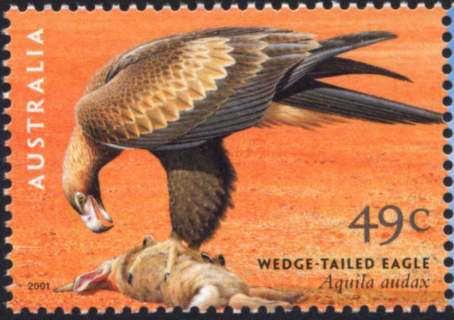 Australia-2001-Birds-of-Prey-49-cent-Multi-P13-9-x-14-6-Wedge-tailed-eagle