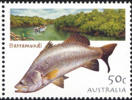 Australia-2003-Angling-in-Australia-50-cent-Multi-P14-4-x-14-Barramundi-fish-in-billabong-mangrove-swamp