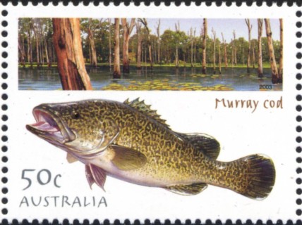 Australia-2003-Angling-in-Australia-50-cent-Multi-P14-4-x-14-Murray-cod-fish-and-flooded-bush