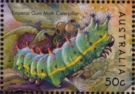 Australia-2003-Bugs-and-Butterflies-50-cent-Multi-P13-86-x-14-6-Emperor-gum-moth-caterpillar-Opodiphthera-eucalypti-SG2320