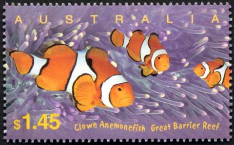 Australia-2004-Australian-Impressions-1-45-dollar-Multi-P14-4-x-14-Clown-Anemonefish-Amphiprion-percula-among-anemone-SG2401