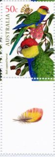 Australia-2005-Australian-Parrots-50-cent-Multi-P14-6-x-13-86-Red-capped-Parrot-Purpureicephalus-spurius-from-S-W-West-Australia-SG2487