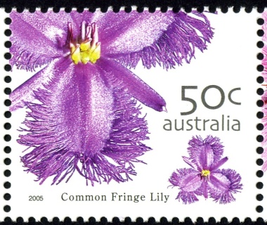 Australia-2005-Australian-Wildflowers-50-cent-Multi-P14-x-14-4-Common-Fringe-Lily-Thysanotus-tuberosus-a-widespread-native-flower