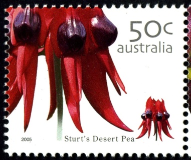 Australia-2005-Australian-Wildflowers-50-cent-Multi-P14-x-14-4-Sturts-Desert-pea-Swainsona-formosa-floral-emblem-of-South-Australia-flower-native-SG2530