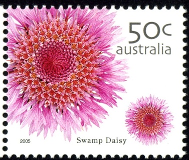 Australia-2005-Australian-Wildflowers-50-cent-Multi-P14-x-14-4-Swamp-Daisy-Actinodium-cunninghamii-native-flower-from-myrtle-family-SG2533