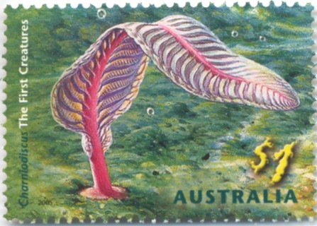 Australia-2005-Creatures-of-the-Slime-1-dollar-Multi-P13-86-x-14-60-Charnodiscus