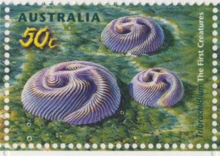 Australia-2005-Creatures-of-the-Slime-50-cent-Multi-P13-86-x-14-60-Tribrachidium