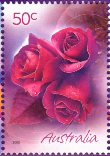 Australia-2005-Marking-the-Occasion-greeting-stamps-and-scenes-of-Australia-50-cent-Multi-P14-6-x-13-86-Red-rose-bunch-for-romance-SG2494