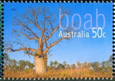 Australia-2005-Native-Trees-50-cent-Multi-P13-86-x-14-6-Boab