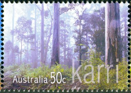 Australia-2005-Native-Trees-50-cent-Multi-P13-86-x-14-6-Karri