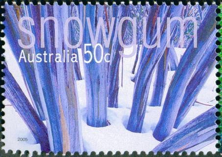 Australia-2005-Native-Trees-50-cent-Multi-P13-86-x-14-6-Snow-Gum