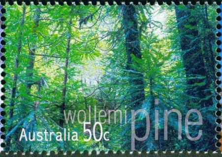 Australia-2005-Native-Trees-50-cent-Multi-P13-86-x-14-6-Wollemi-Pine