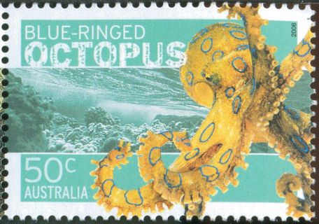 Australia-2006-Dangerous-Australians-Fauna-50-cent-Multi-P13-86-x-14-6-Blue-ringed-octopus-Hapalochlaena-lunata-small