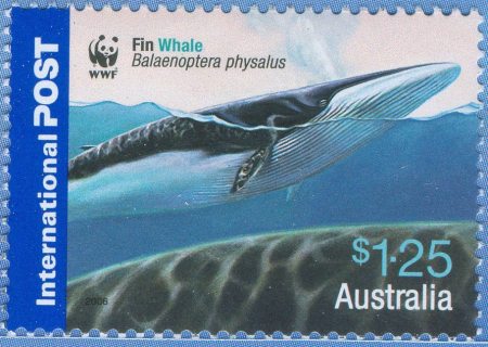 Australia-2006-Whales-Down-Under-1-25-dollar-Multi-P13-86-x-14-6-Fin-whale-Balaenoptera-physalus-with-large-part-in-foreground-SG2661