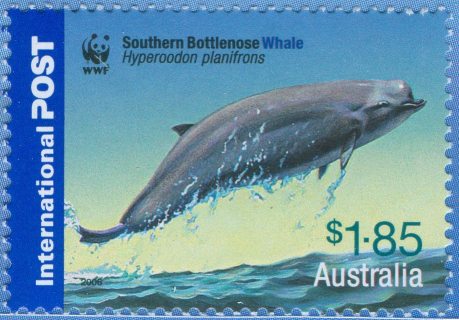 Australia-2006-Whales-Down-Under-1-85-dollar-Multi-P13-86-x-14-6-Southern-Bottlenose-whale-Hyperoodon-planifrons-above-water-SG2662