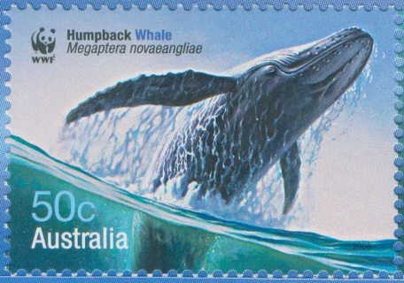 Australia-2006-Whales-Down-Under-50-cent-Multi-P13-86-x-14-6-Humpback-whale-Megaptera-novoeangliae-breaking-water-SG2660