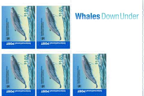 Australia-2006-Whales-Down-Under-9-25-dollar-Multi-Pdie-cut-5-self-adhesive-stamps-1-85-International-Post-SG2667