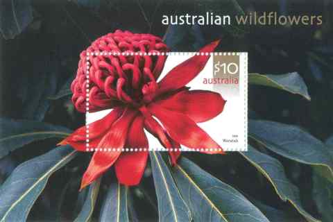 Australia-2006-Wildflowers-Australian-10-dollar-Multi-P14-4-x-14-Waratah-Telopea-speciossoima_1