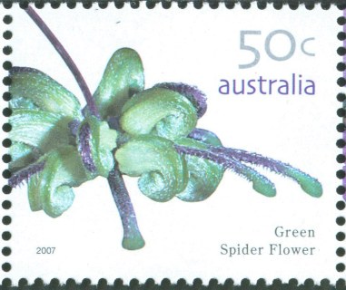 Australia-2007-Australian-Wildflowers-Definitives-2007-50-cent-Multi-P14-x-14-4-Green-Spider-Flower-Grevillea-mucronulata-woodlands-of-New-South-Wales-SG2760