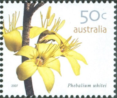 Australia-2007-Australian-Wildflowers-Definitives-2007-50-cent-Multi-P14-x-14-4-Phebalium-whitei-no-common-name