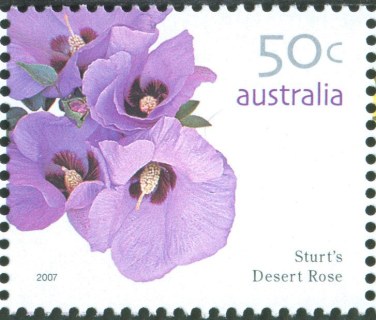 Australia-2007-Australian-Wildflowers-Definitives-2007-50-cent-Multi-P14-x-14-4-Sturts-Desert-Rose-Gossypium-sturtianum-floral-emblem-of-Northern-Territory-SG2761