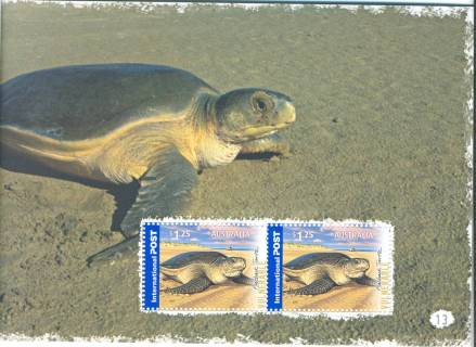 Australia-2007-Threatened-Wildlife-2-x-1-25-dollar-Multi-P14-6-x-13-86-Pair-4941-SG