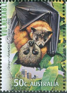 Australia-2007-Threatened-Wildlife-50-cent-Multi-P14-6-x-13-86-Grey-headed-flying-fox-Pteropus-poliocephalus-Australias-larget-bat-SG2839