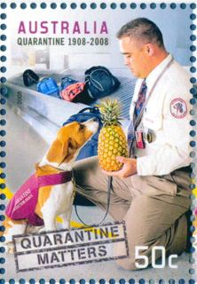 Australia-2008-100-Years-of-Quarantine-40-cent-Multi-P14-6-x-13-86-Quarantine-inspector-male-holding-pineapple-while-dog-looks-on